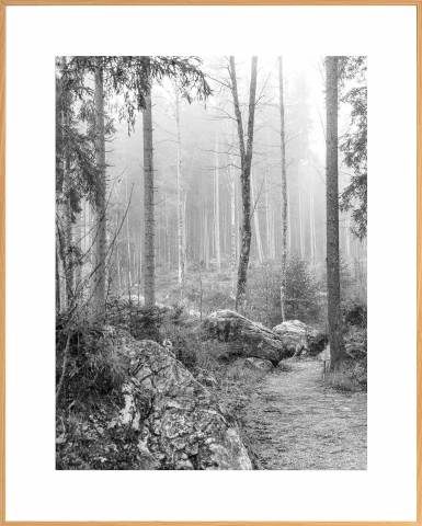Nabil Zitouni Fineart Print Limited Edition framed Forêt magique No.4 1120210714