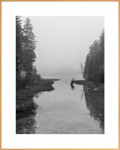 Nabil Zitouni Fineart Print Limited Edition framed Forêt magique No.5 1120210685